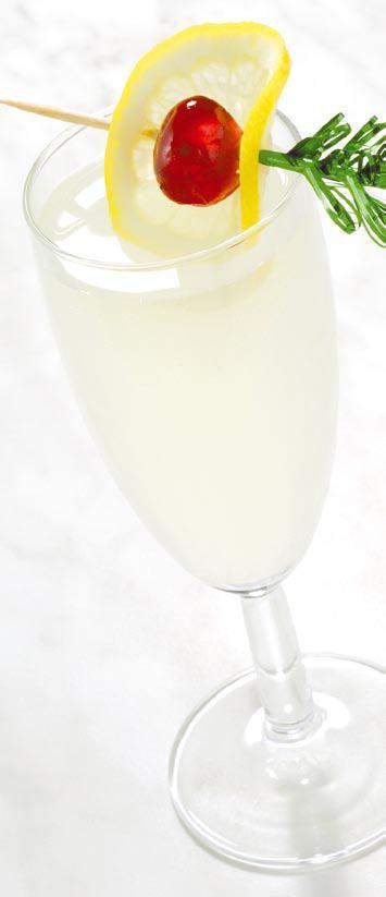 Gin Fizz